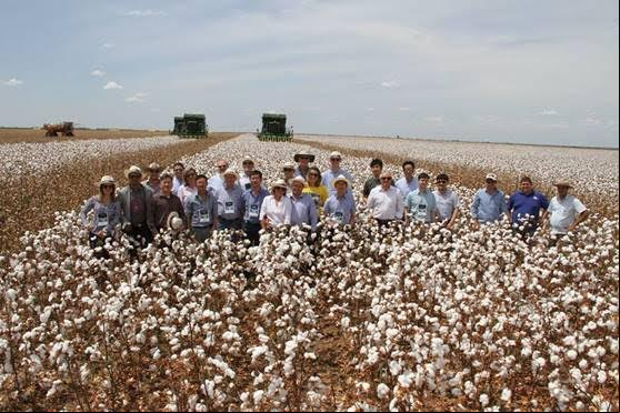 Missão compradores na Fazenda Busato I - Bahia / ABAPA