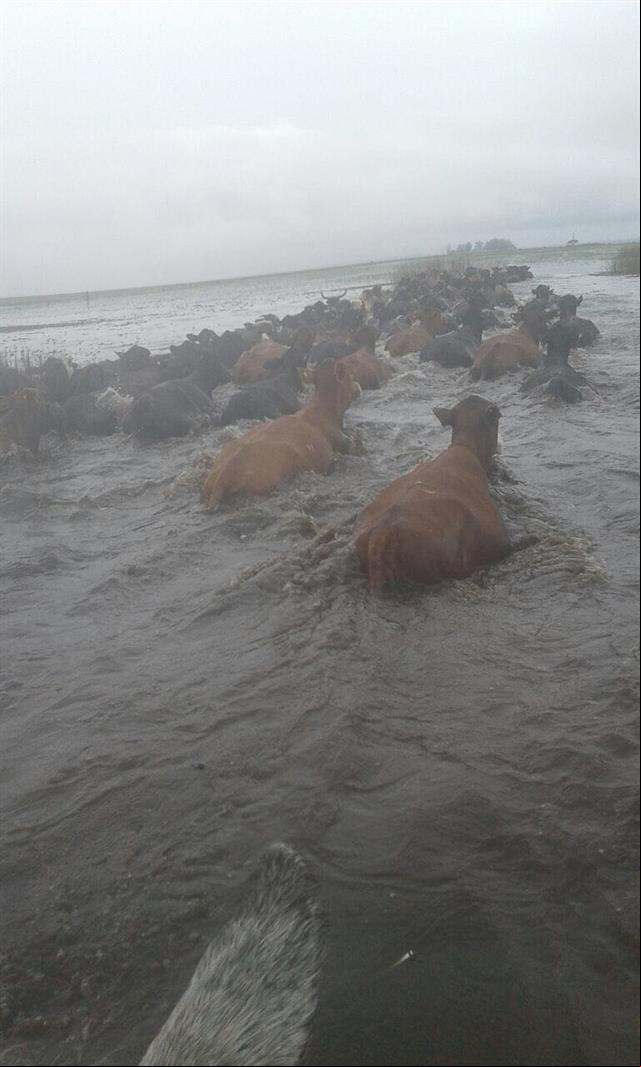 Foto enviada por Francisco Velar ao jornal La Nación