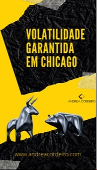 Volatilidade - Artigo Andrea Cordeiro
