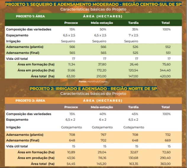 cepea hortifruti citros citrus custos de produção safra