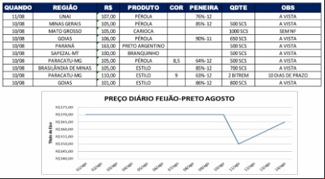 Relatório Feijão 14/08