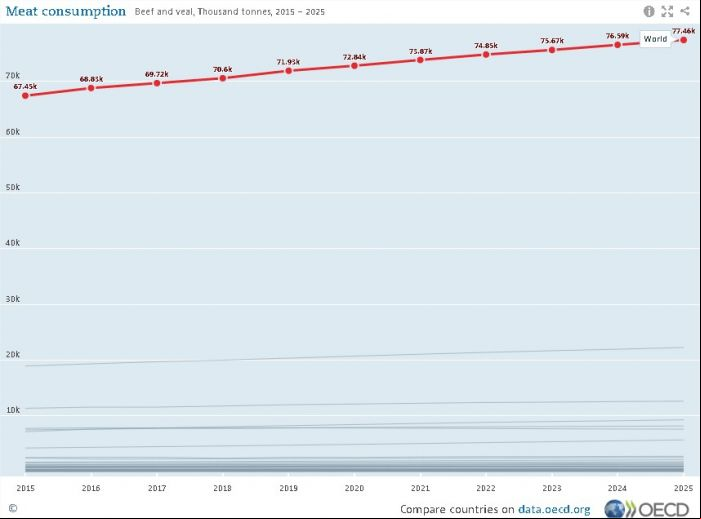 Consumo mundial de carne bovina 2016-2025 - Fonte: OCDE