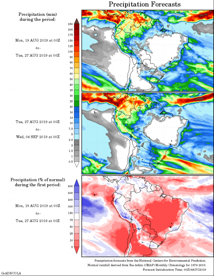 Mapa com a tendência de precipitação acumulada para o período de 19 de agosto até 04 de setembro - Fonte: National Centers for Environmental Prediction/NOAA