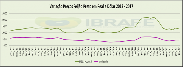Relatório Feijão 25/07