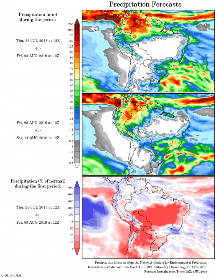 Mapa com a precipitação acumulada para o período de 26 de julho até 11 de agosto - Fonte: National Centers for Environmental Prediction/NOAA