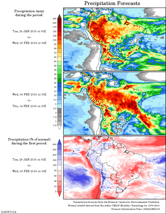 Mapa com a tendência de precipitação acumulada para o período de 29 de janeiro até 14 de fevereiro - Fonte: National Centers for Environmental Prediction/NOAA