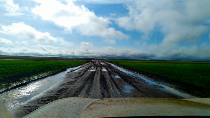Chuvas em Palmeira do Piauí (PI) - Enviado por Almir Michelan