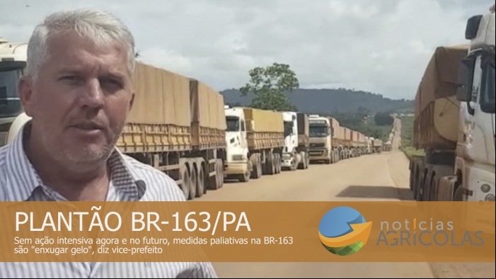 arte dill br-163