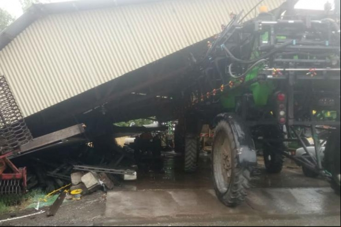 Danos no trigo causados por granizo na Argentina (publicado pelo La Nación)