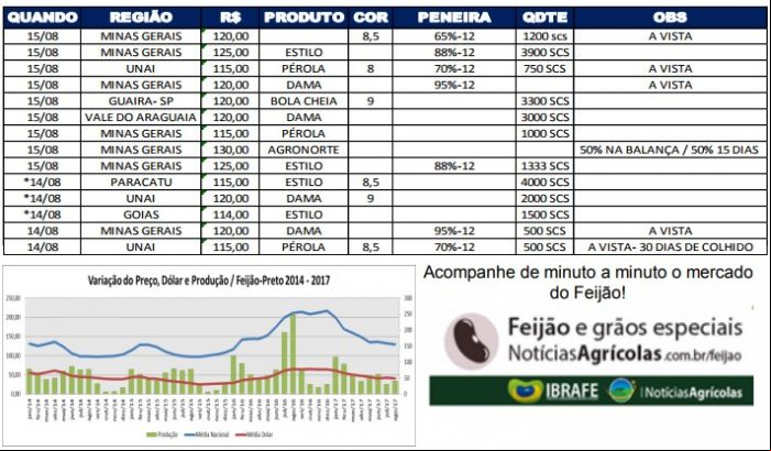 Relatório feijão 16/08