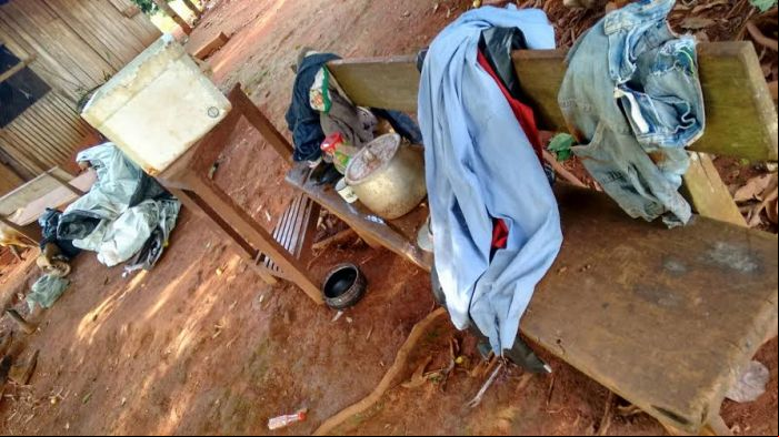 Desintrusão em São Félix do Xingu (PA)